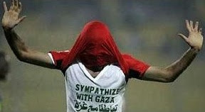 free pure goldwater 2008