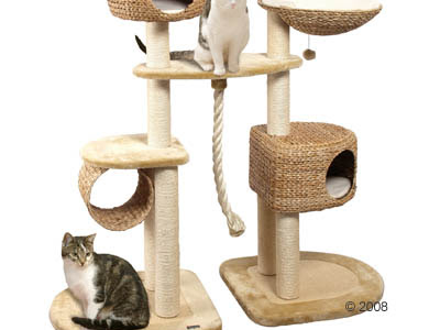 Collection tatouage oreille chat illisible 750595-Tatouage  oreille chat illisible