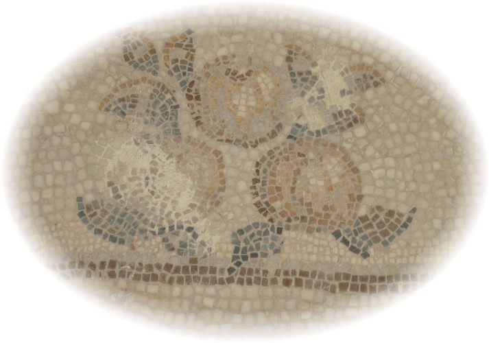 [Copia+de+IMG_3849.JPG]