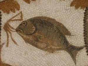 [Copia+de+IMG_3908.JPG]