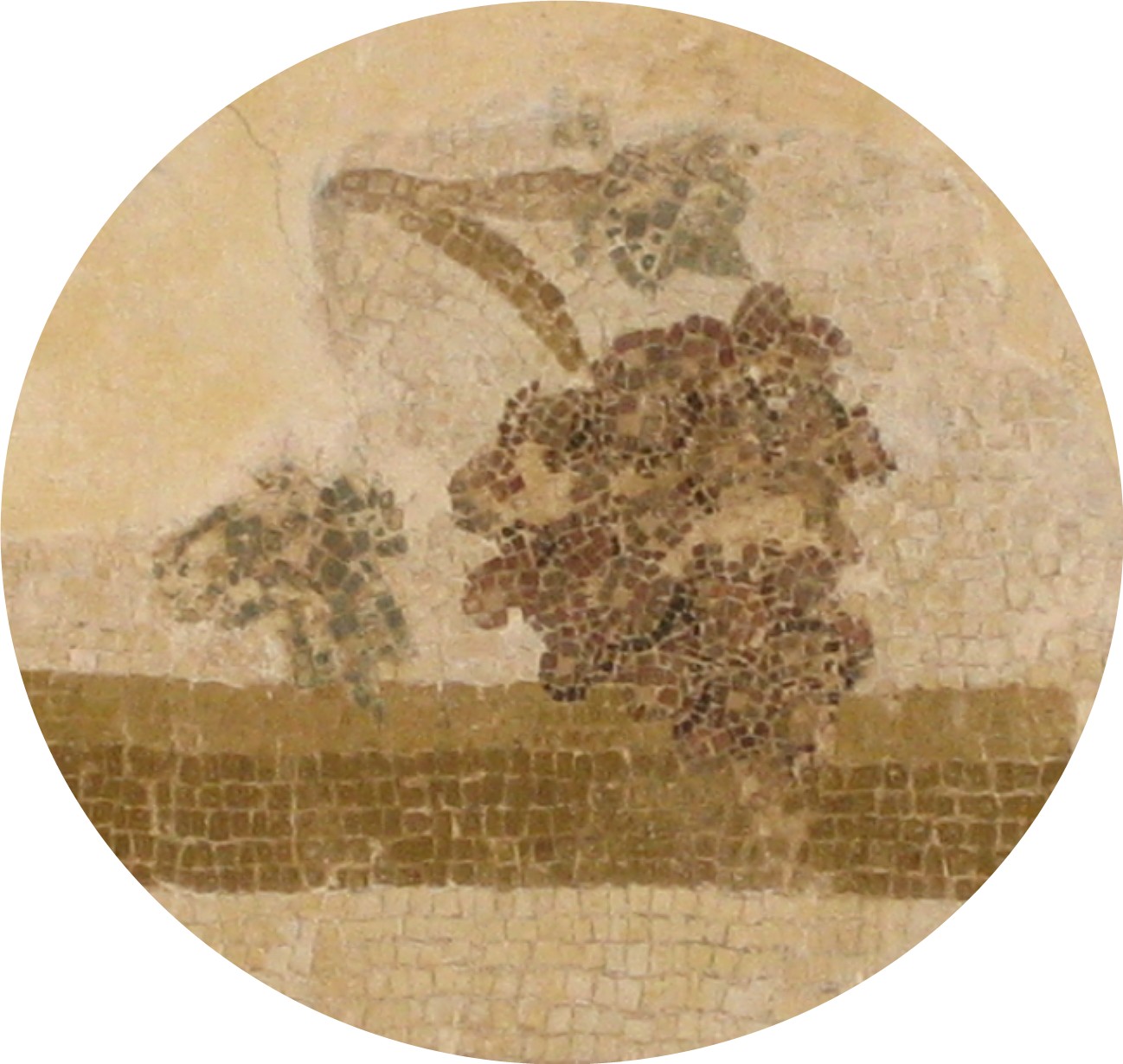 [Copia+de+IMG_3851.JPG]