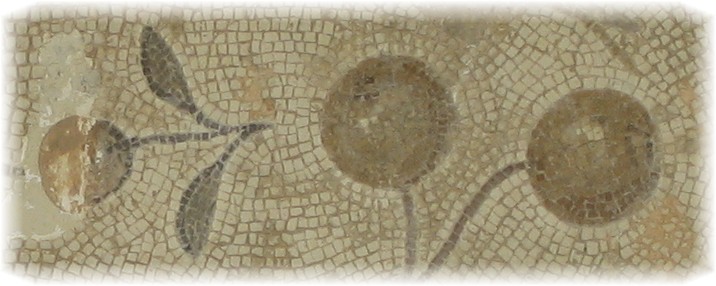 [Copia+de+IMG_3812.JPG]