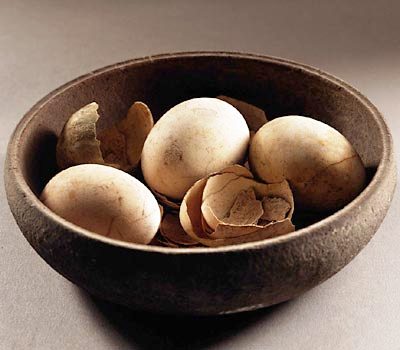 [gal_daily_eggs.jpg]