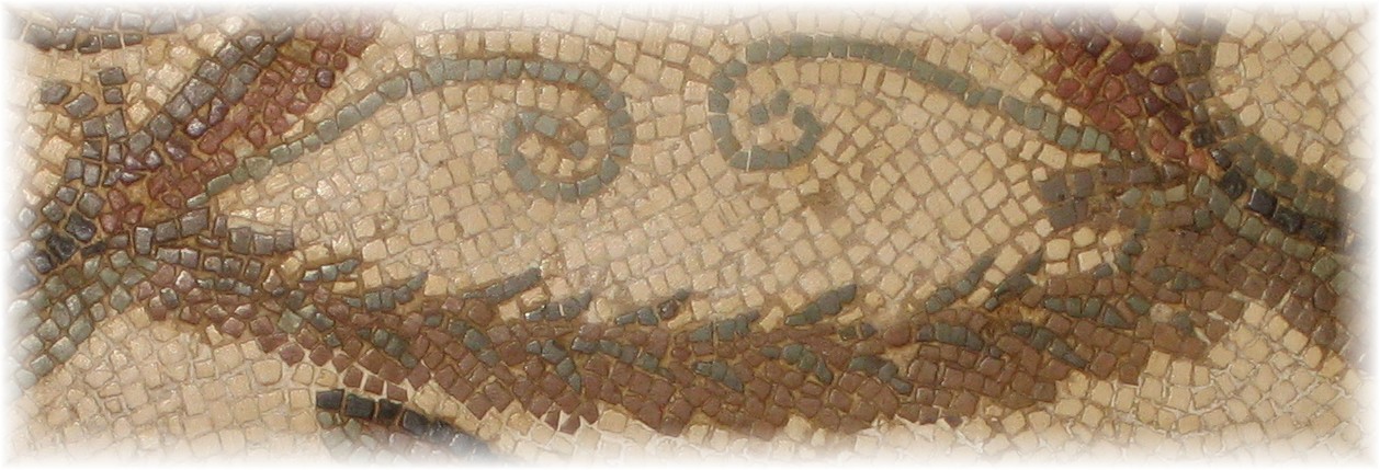 [Copia+(2)+de+IMG_3888.JPG]