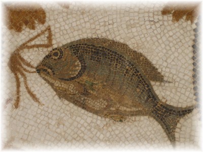 [Copia+(2)+de+IMG_3908.JPG]