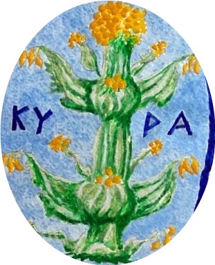 [silphiumdibujo.jpg]