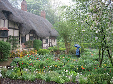 A Tudor Garden