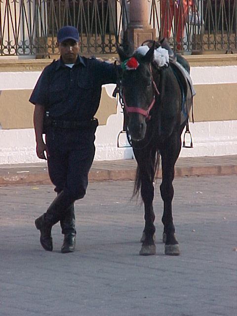La H. Policia Montada de Culiacán