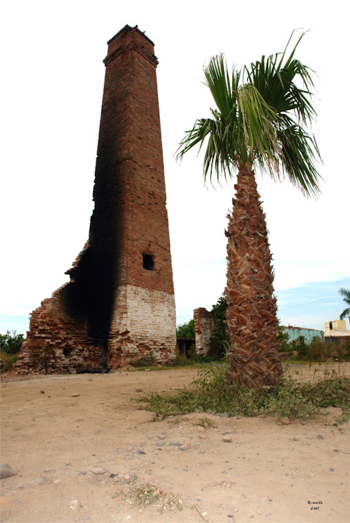 El pitón de Oso Viejo, SIndicatura de Quilá, municipio de Eldorado