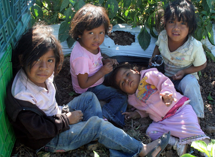 Niños pobres de la Ciudad de Culiacán
