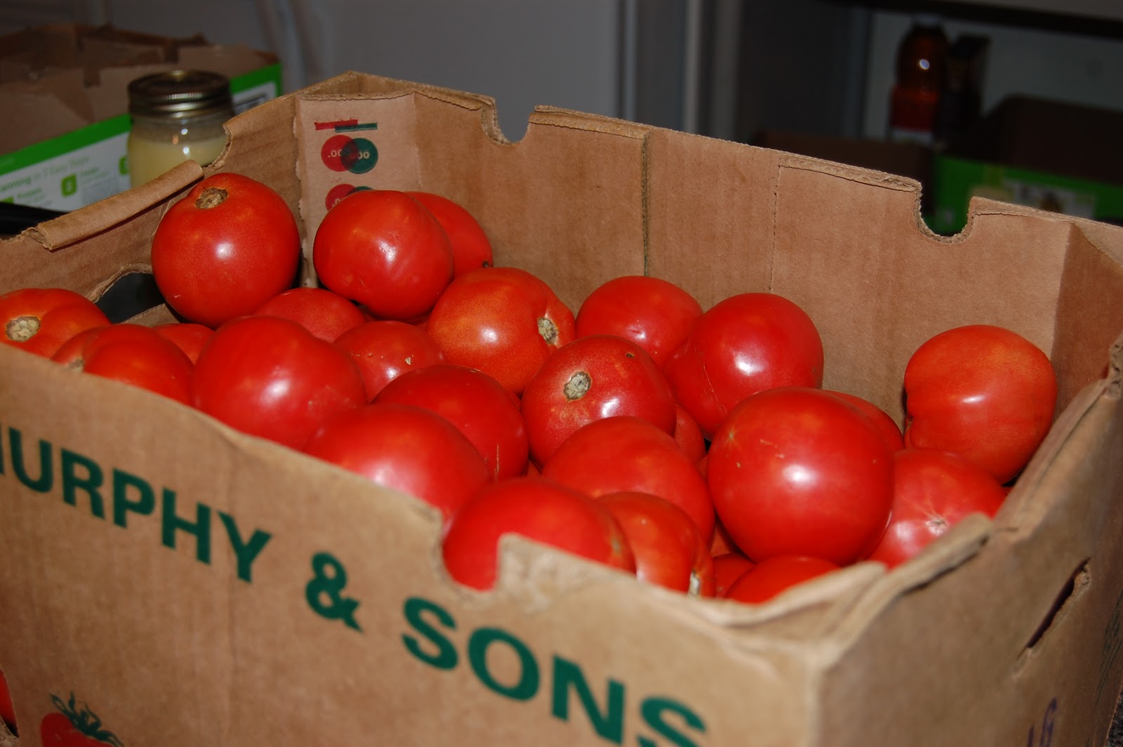 The Dog's a boy, too! Throwing Tomatoes