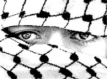 ojos palestina