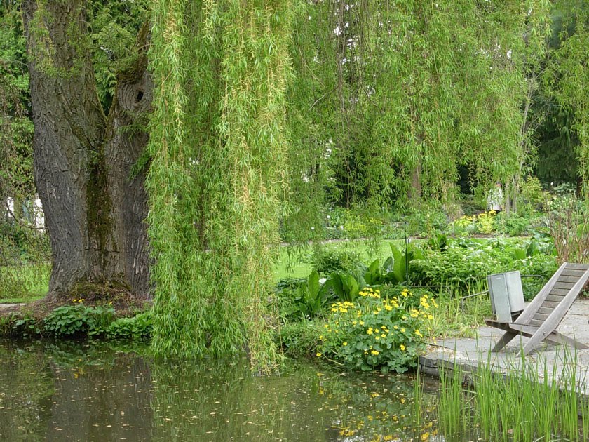 Gerdas Malblog: botanischer Garten in Hof