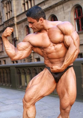 Ali+Tabrizi+Bodybuilder+-+www.Musclebase.Blogspot.com+-+03.jpg