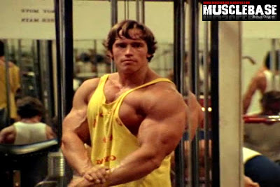 7th Time Mr. Olympia Arnold Schwarzenegger - Muscle Base | New