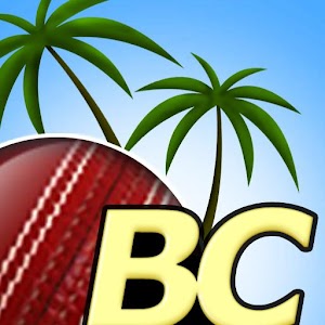 Beach Cricket Pro v2.5.1 APK Sports Games Free Download