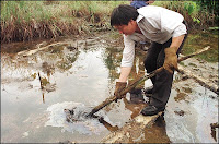 Ecuador's oil spill - a damning case against all oil extraction