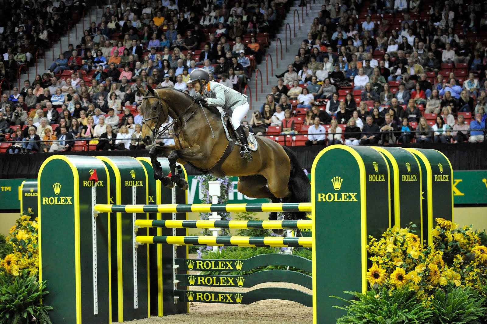 Hunter Seat Equitation Work over fences
