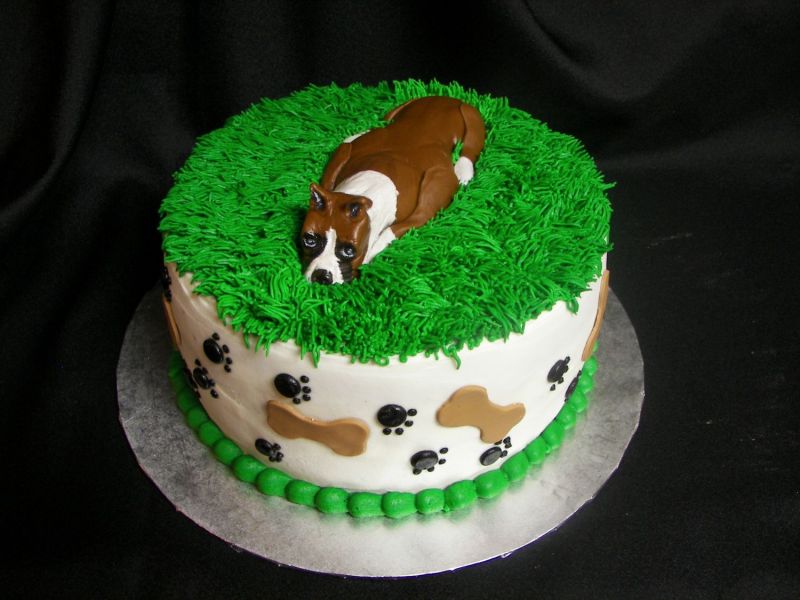 normal_Boxer_Cake.JPG