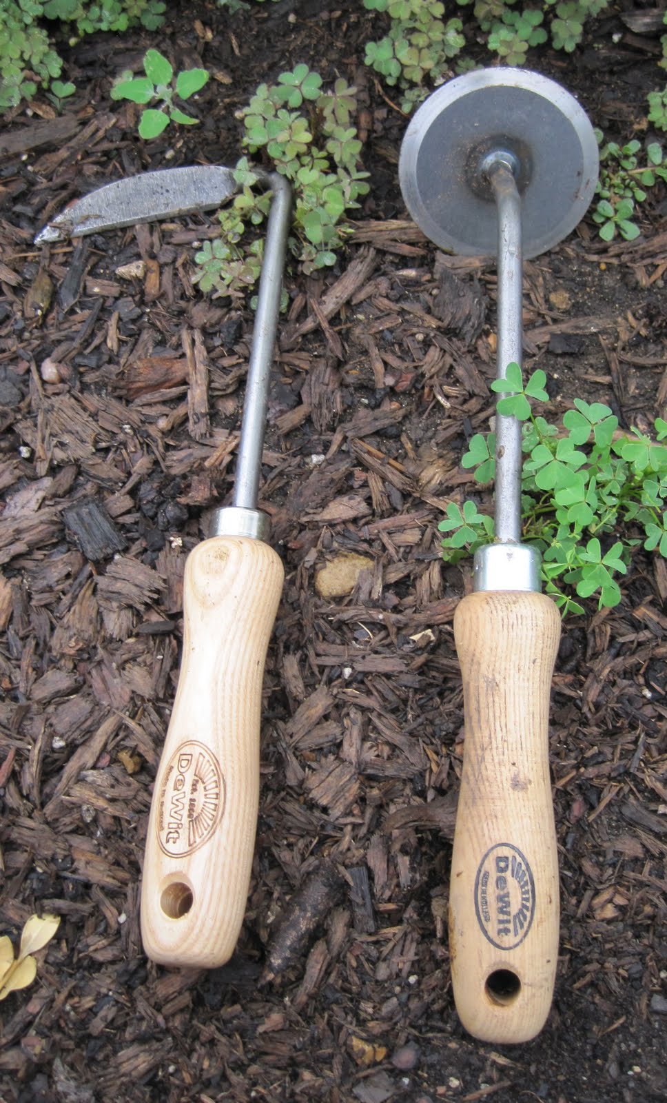 My Souvenirs from Buffalo New Weeders