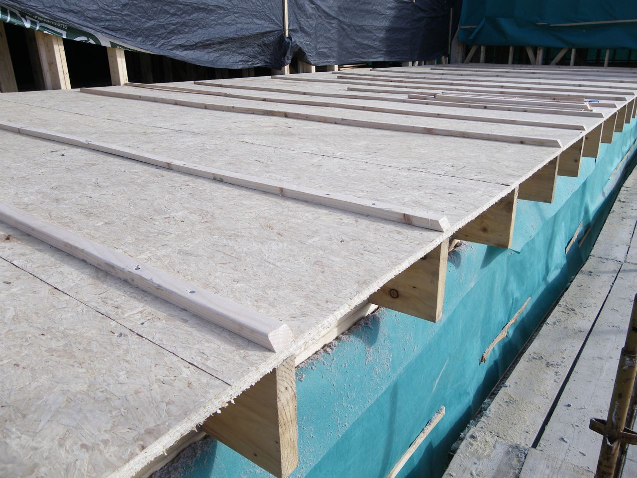building a flat roof building a flat roof