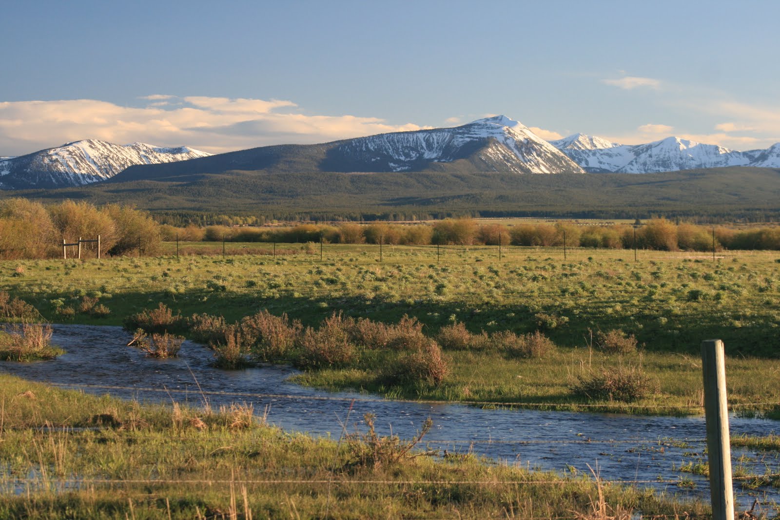 Southern Belle's Adventures Beaverhead County June 18, 2010
