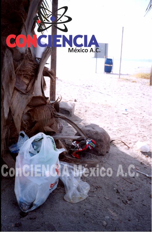 ConCIENCIA México A.C.: PROBLEMA DE LA BASURA EN LAS PLAYAS....