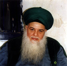 Qutbul Irsyad Sayyidi Syaikh Mawlana Adnan Kabbani q.