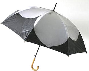 [Umbrella+-+Grandiflora.jpg]