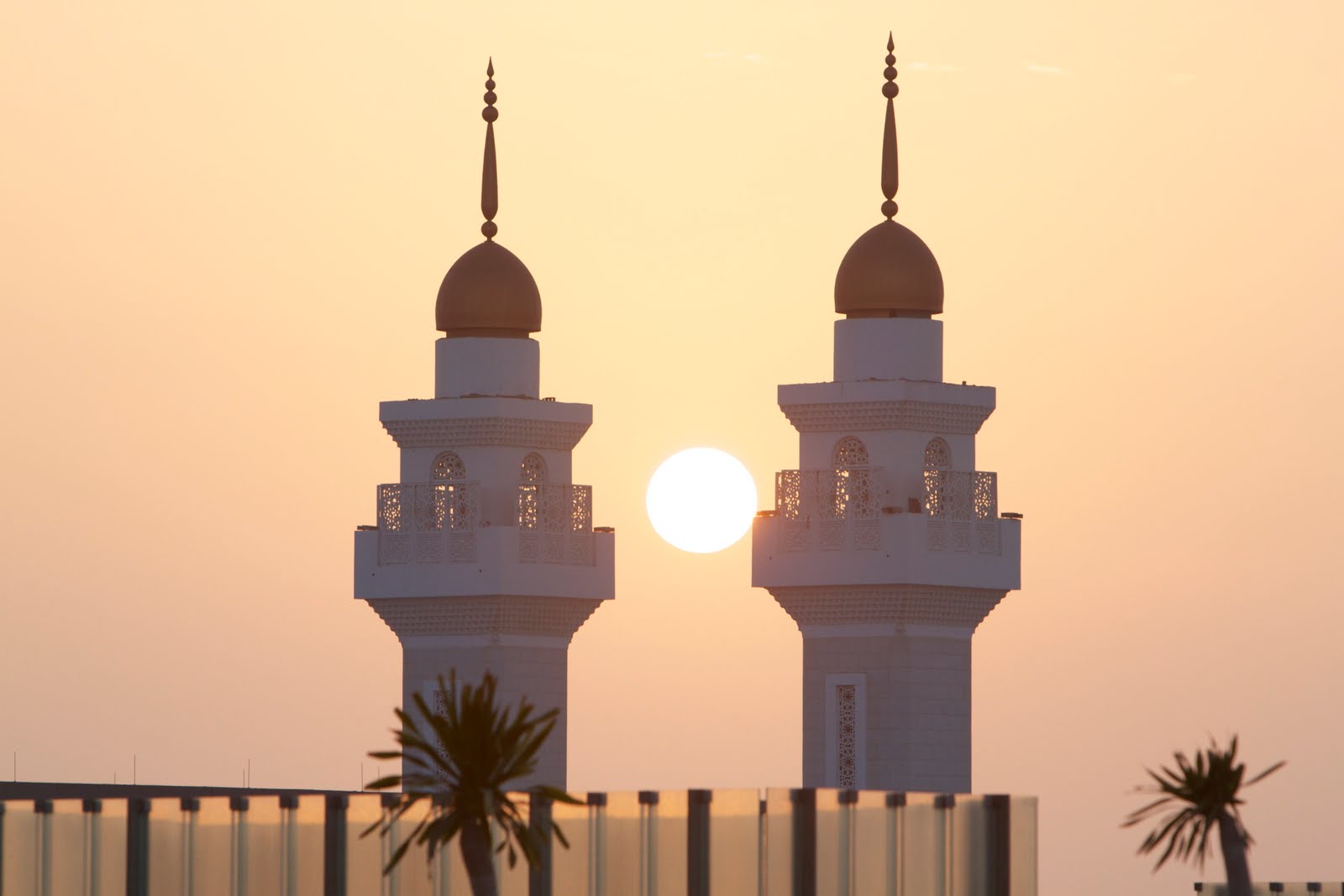 Our Saudi Arabian Adventure at KAUST Mark on Vacation