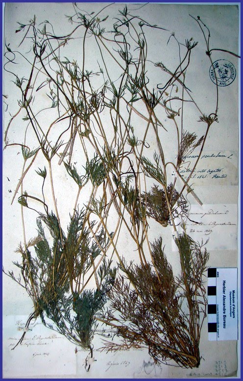 [MB-Ang-2008-07519-20212.jpg]