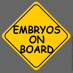 embryos2.jpg