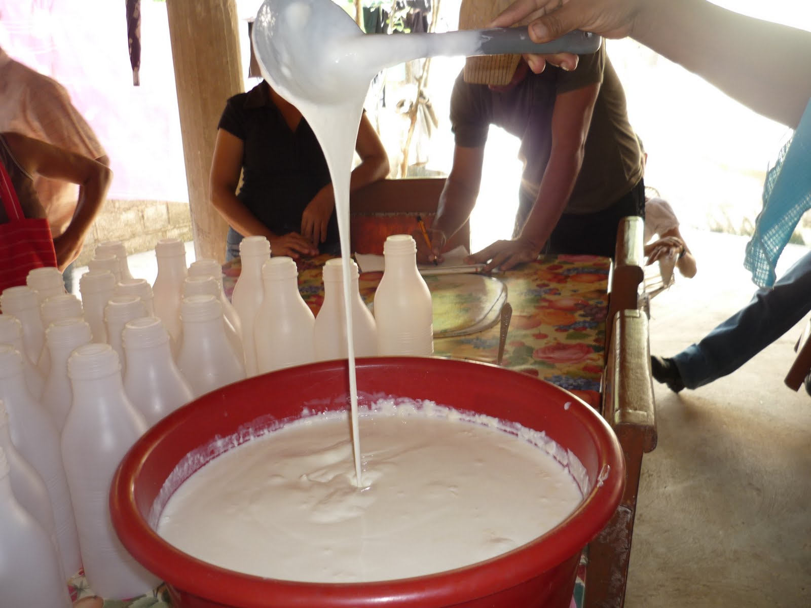 JRE GALERAS LACTEOS 2010 ELABORACION DE YOGURT