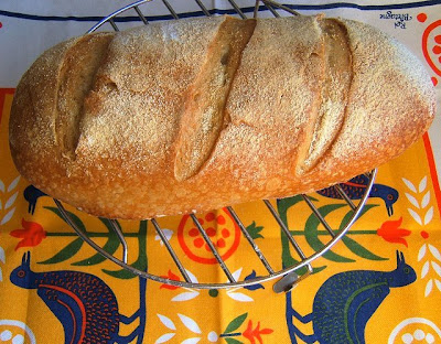 Pan de sémola de trigo / Pain à la semoule de blé
