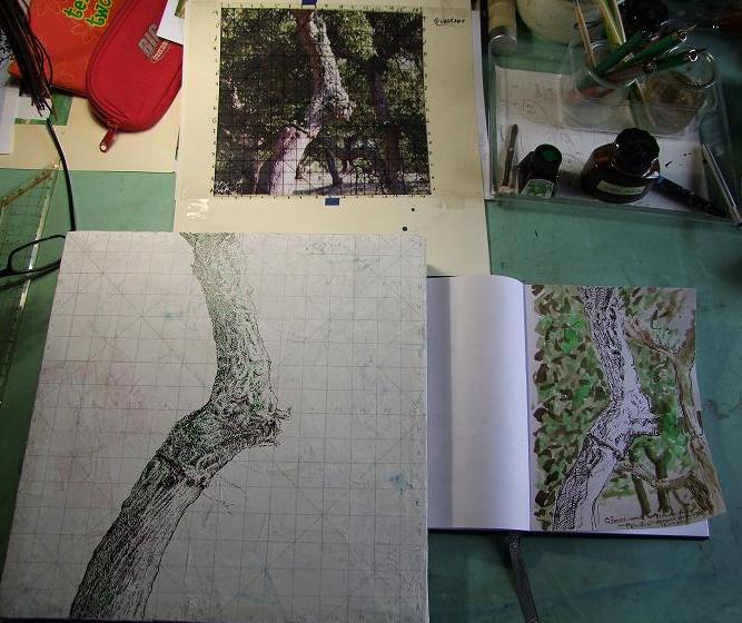 [qs_4D12_PéBom_+002p.JPG]