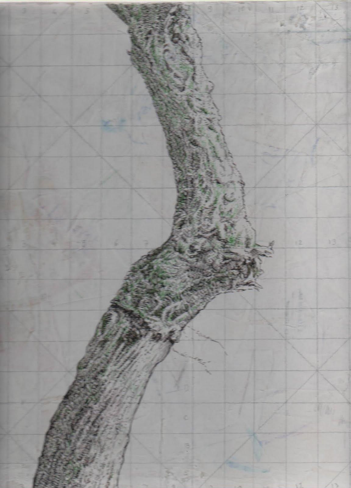 [qs_4D12_PéBom_.jpg]