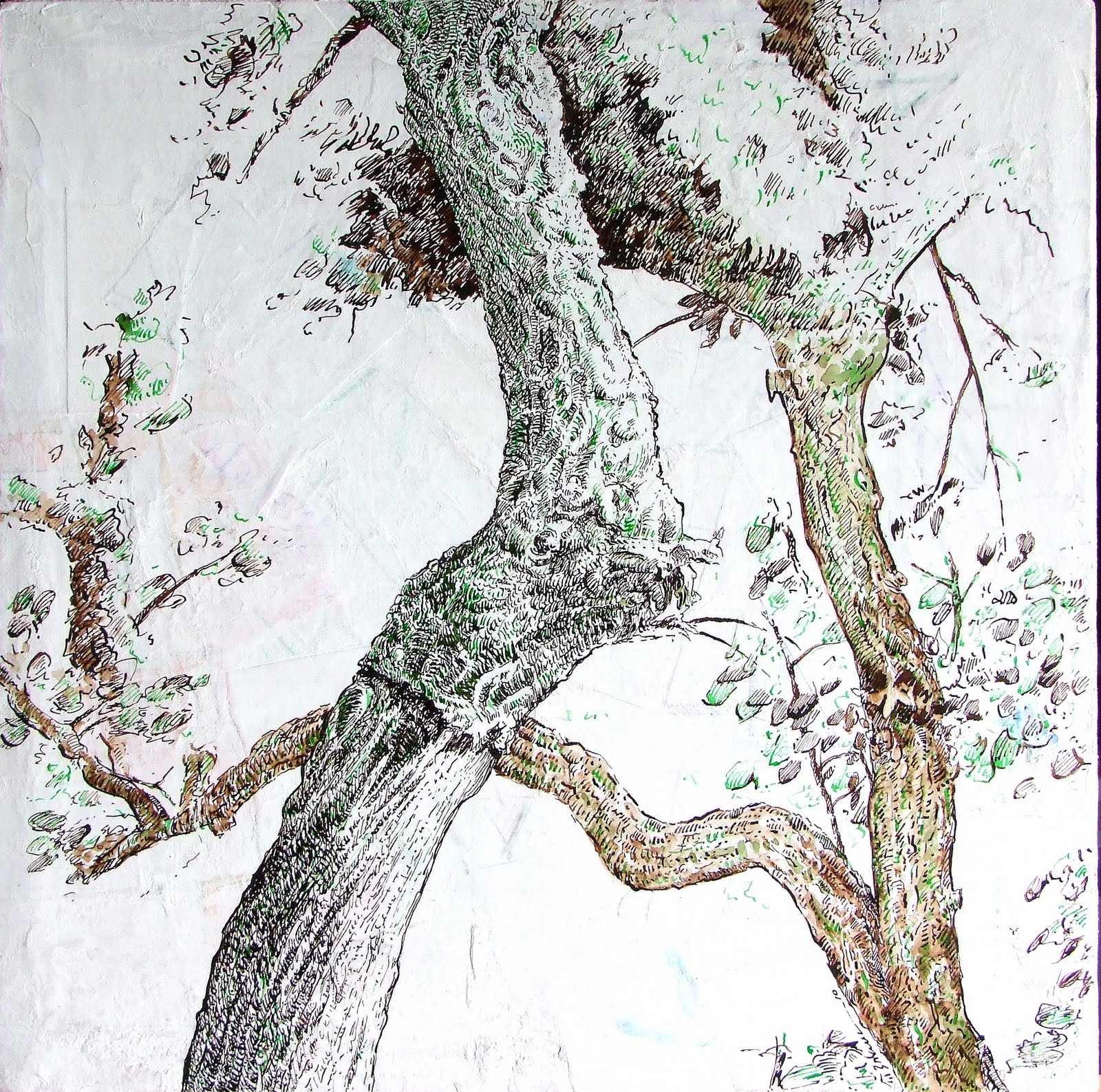 [qs_4d12_peBom_+006.jpg]