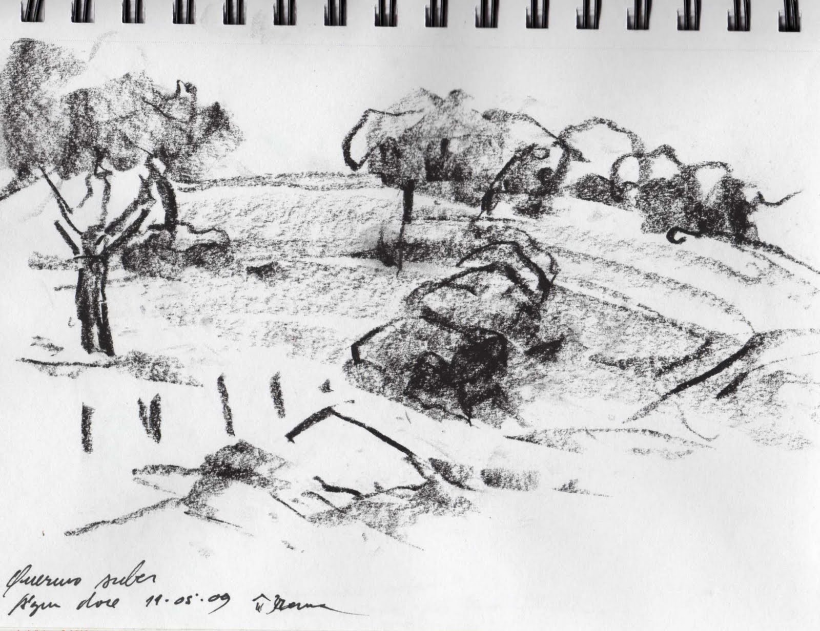 [paralelismo007.jpg]