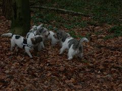 Letzter Petit Spaziergang