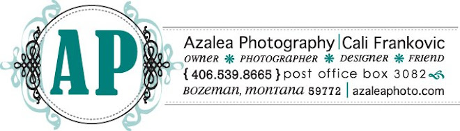 Azalea Photography
