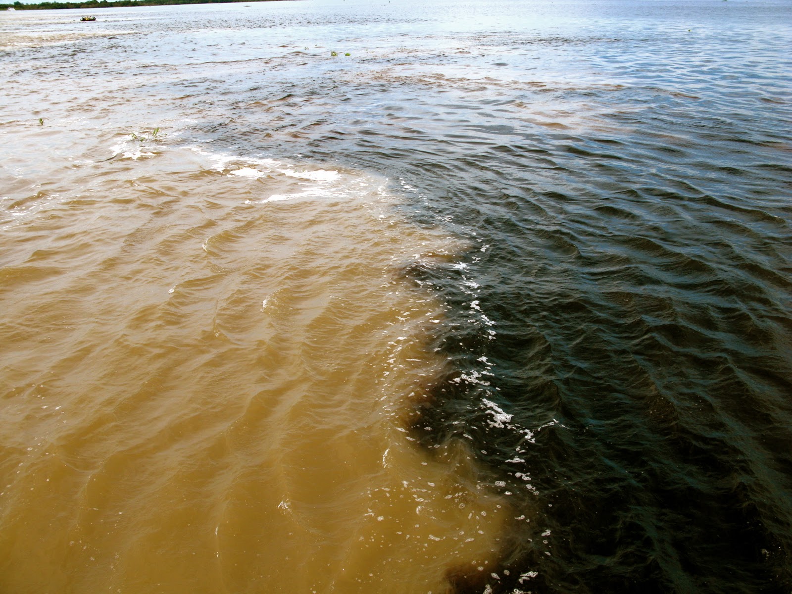 Мутный цвет воды. Реки Солимоэс и Риу-негру. Слияние амазонки и Рио-Негро. Чистое и грязное море. Грязная вода.