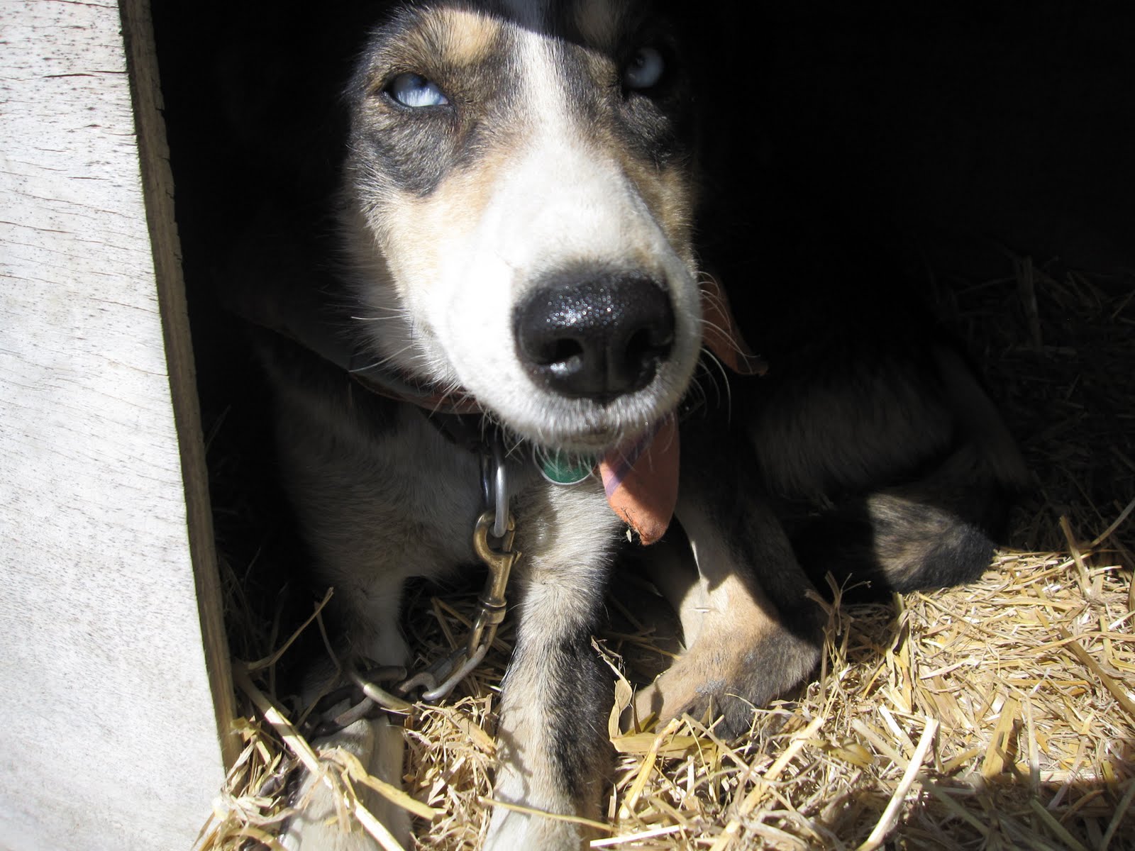 retro alaska Cooper Landing Post Office (Cooper Landing, AK)