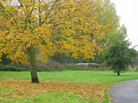 Autumn in the Riverside Park