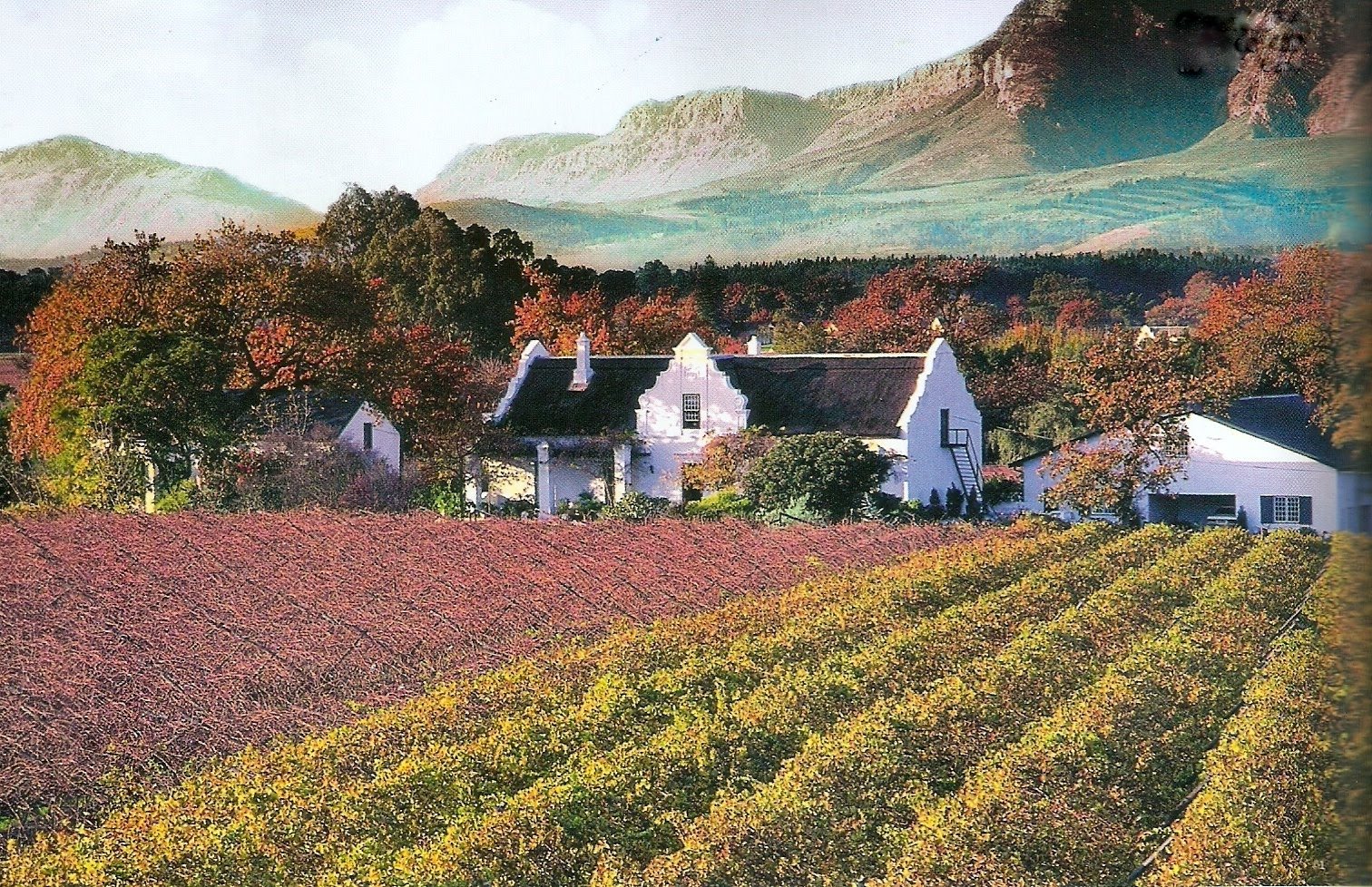 [Digitalizar0002.jpg]