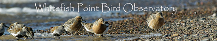 WPBO Waterbird Count Fall 2010
