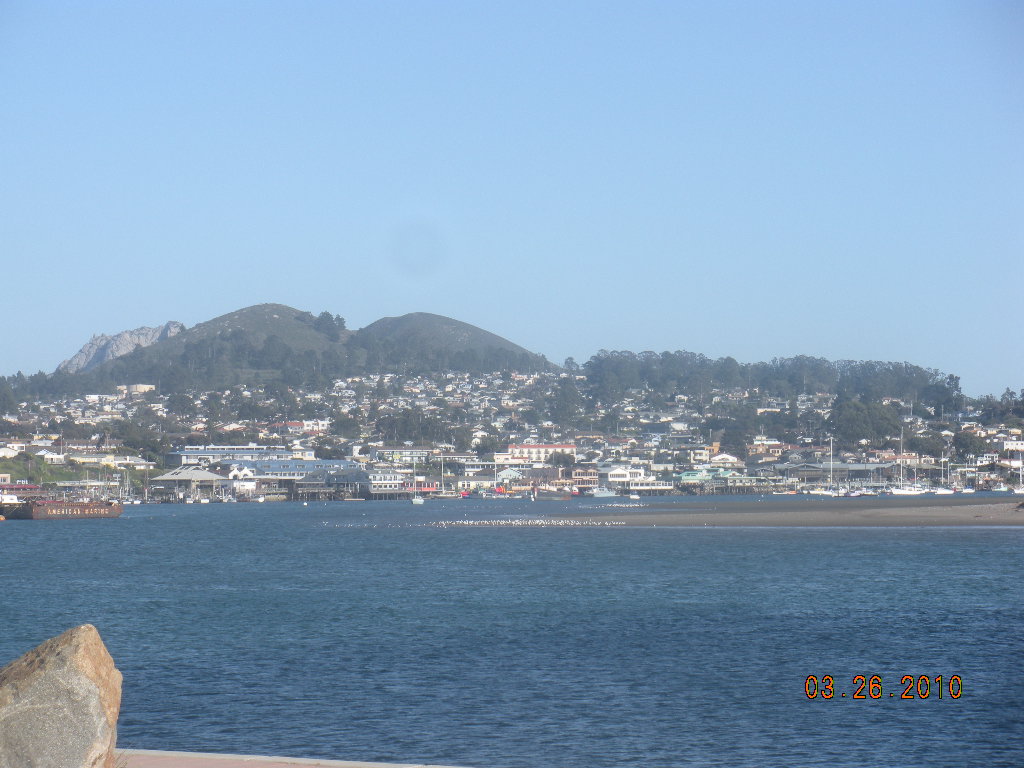 Westward Bound Morro Bay, Cambria, and Hearst Castle in San Simeon