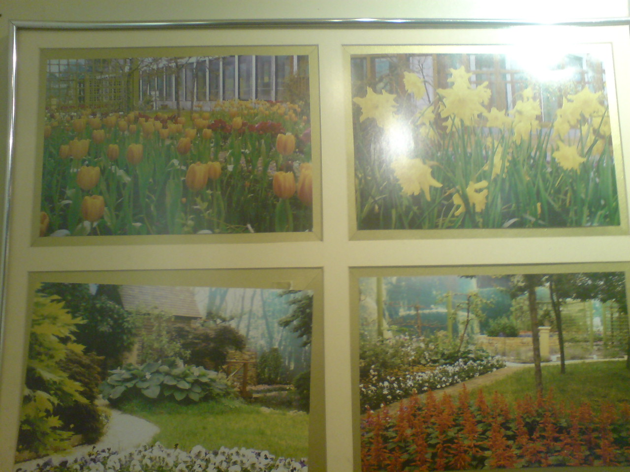 [DSC00445.JPG]