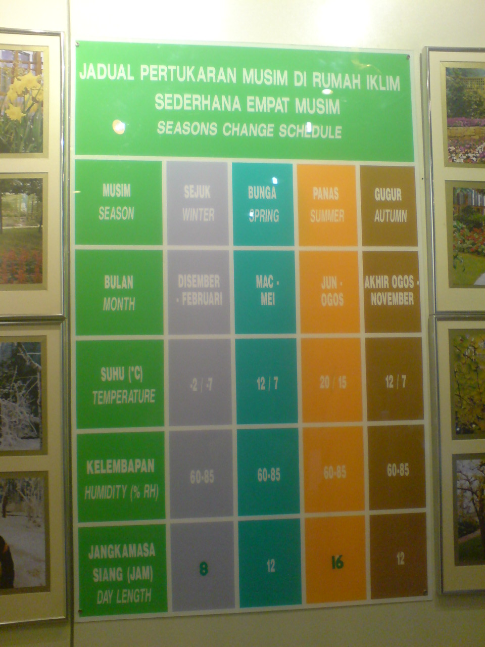 [DSC00446.JPG]