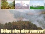 Askerler 36 bölgede ormanları ateşe verdi