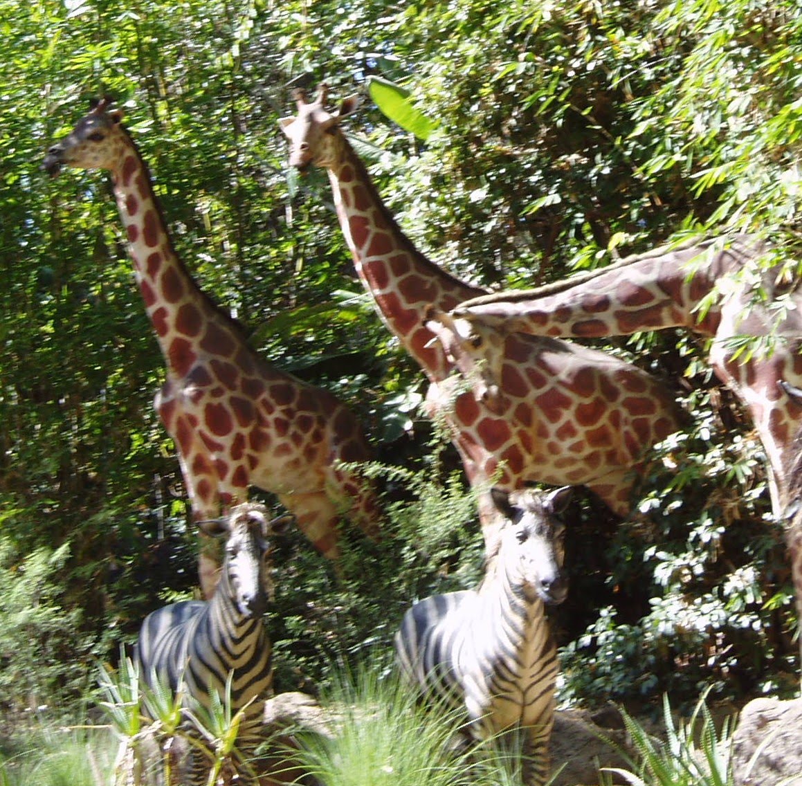 [BestBirthday+015.JPG]